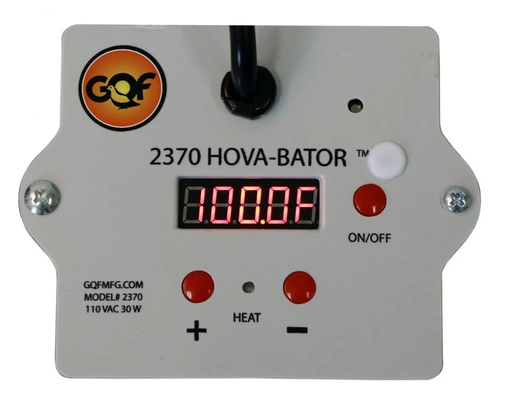 Electronic Thermostat Incubator