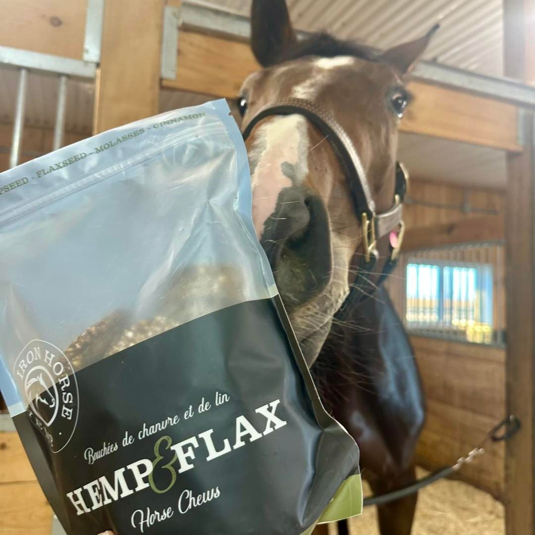 Iron Horse Hemp and Flax Treats (600g)