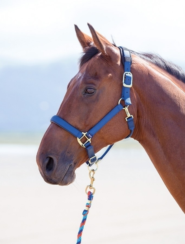 Shires Nylon Breakaway Halter- Large Horse
