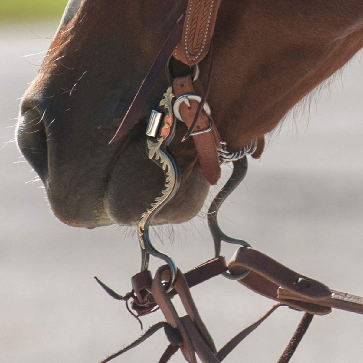 Classic Equine Correction Bit