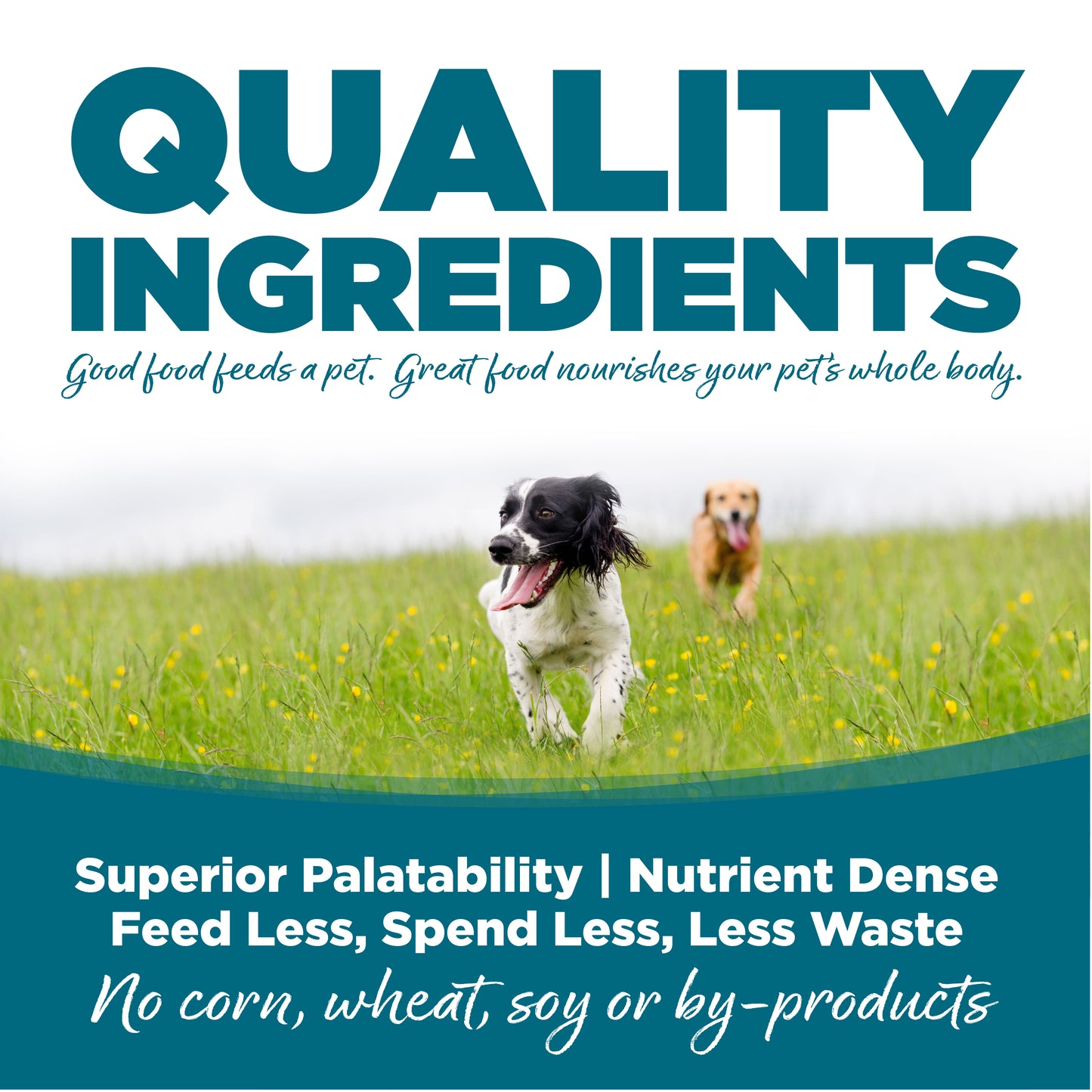 NutriSource Canned Food, Chicken