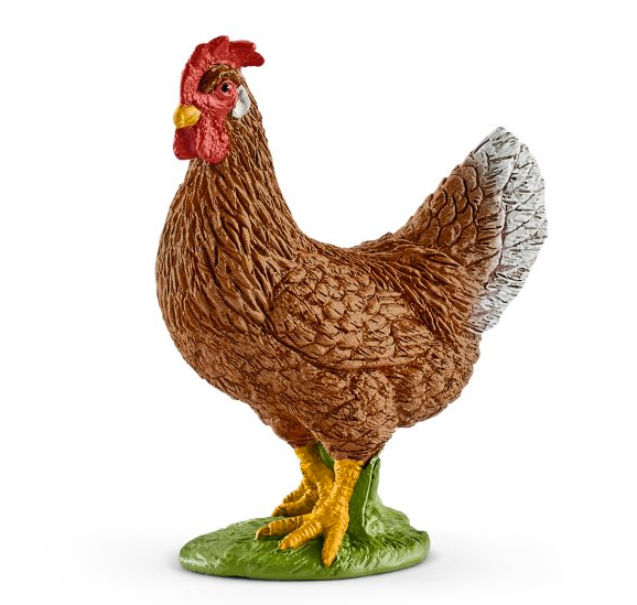 Hen