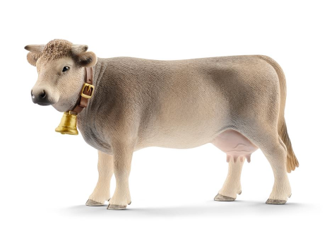 Braunvieh Cow