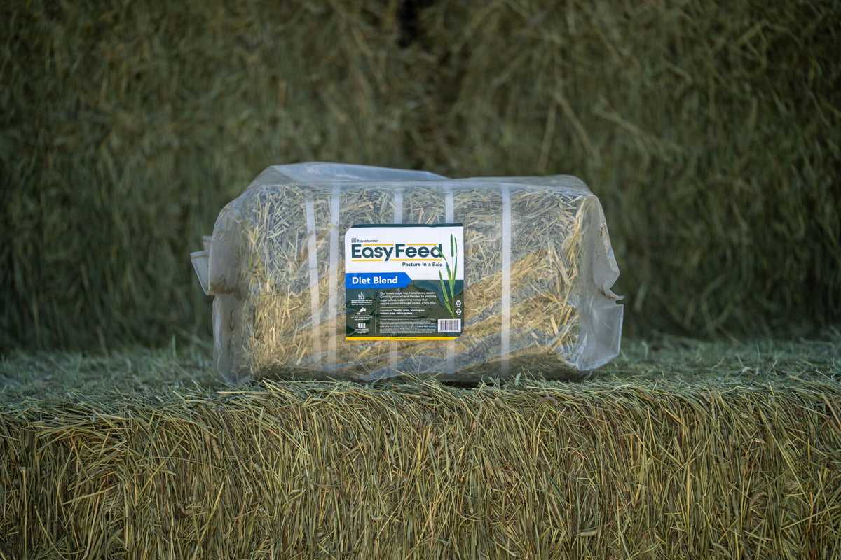 Compressed Square Hay Bale- Diet Blend (bagged) 17 kg