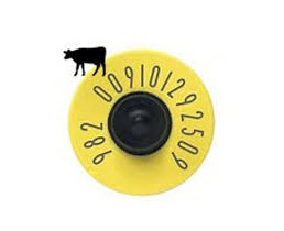 CCIA Tags