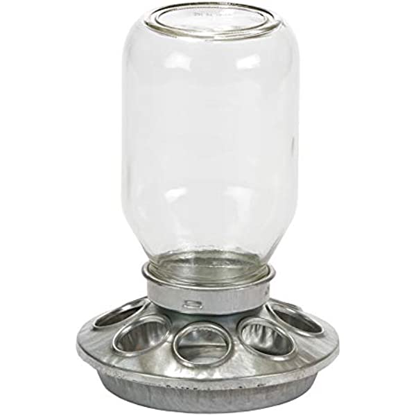 Miller Galvanized and Glass Mason Jar Chick Feeder - 1 Quart