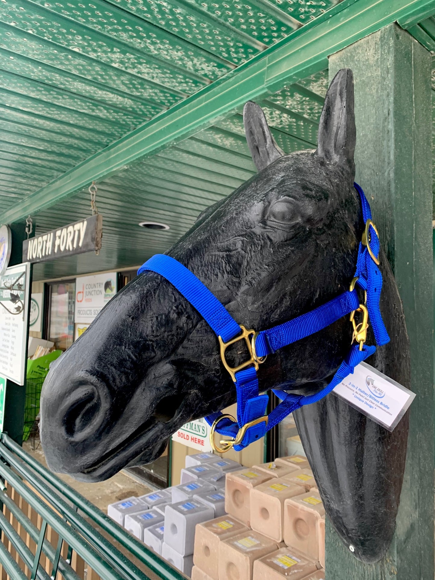 2 in 1 Halter/Bitless Bridle