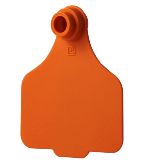 Leader Large Tags (25pk)