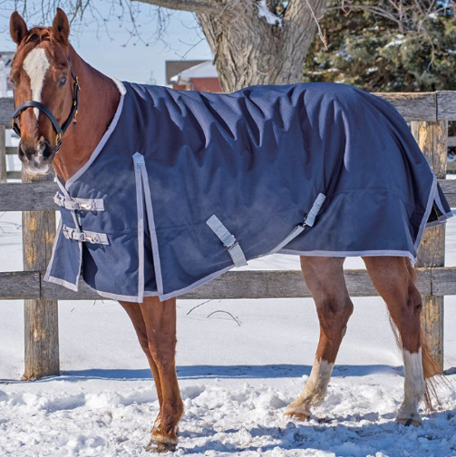 Canadian Horsewear Maxim Rainsheet Navy