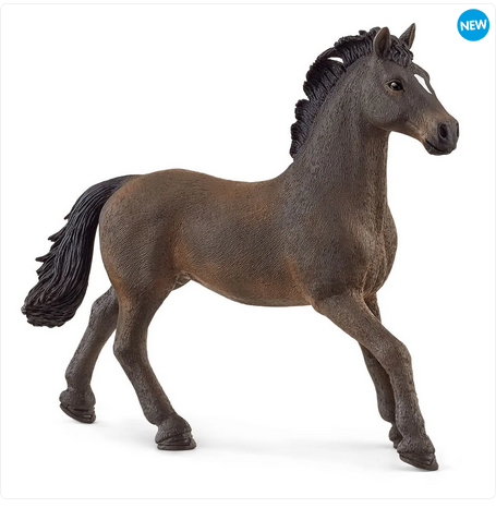 Oldenburg Stallion