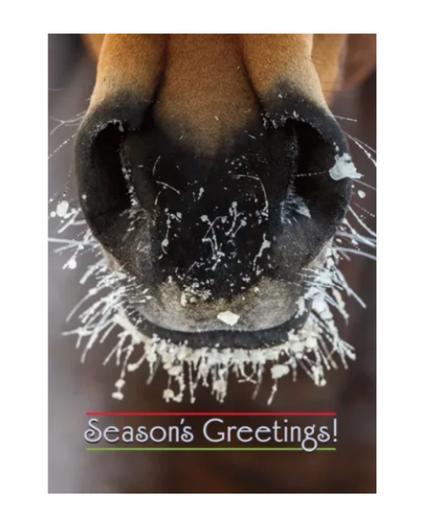 Frosty Nose Christmas Card - Single