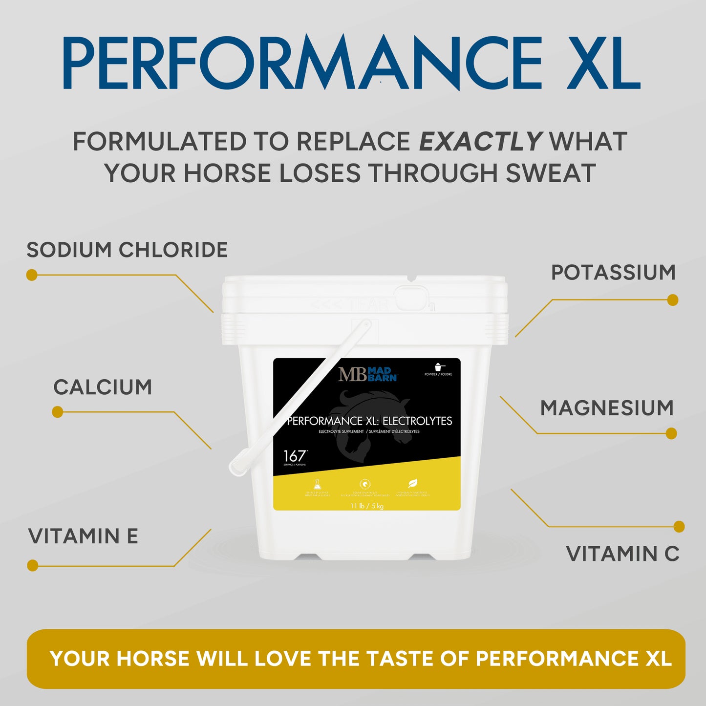 Mad Barn Performance XL: Electrolytes