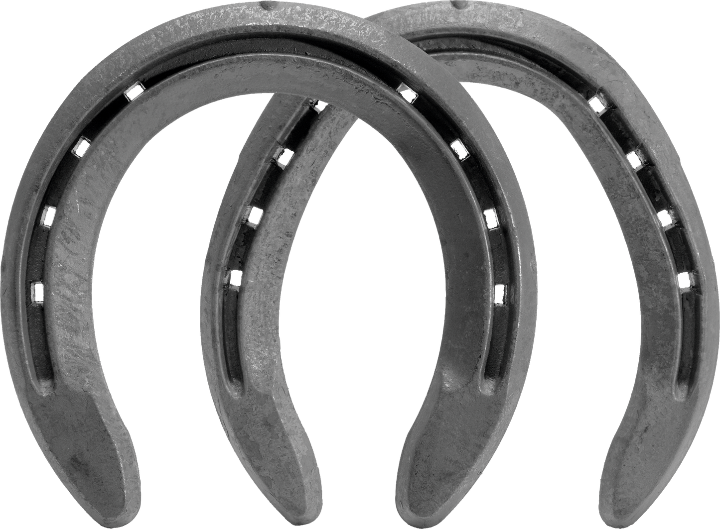 Eventer Shoe Pair