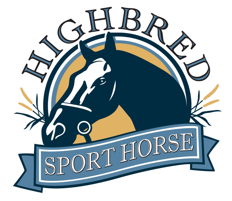 Compressed Square Hay Bale - Sport Horse Blend 17kg