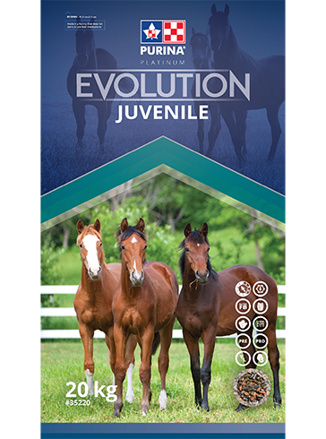 Purina Evolution Juvenile 20kg