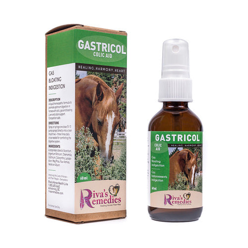 Rivas Gastricol