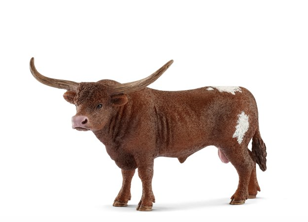 Texas Longhorn Bull