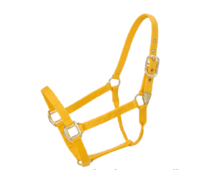 Hi-Brow Horse Halter