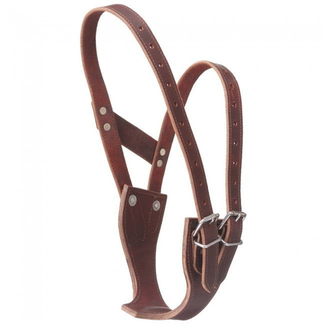 Premium Leather Cribbing Collar