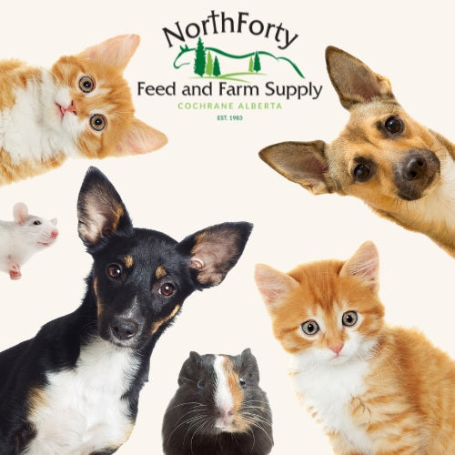 Pet Supplies