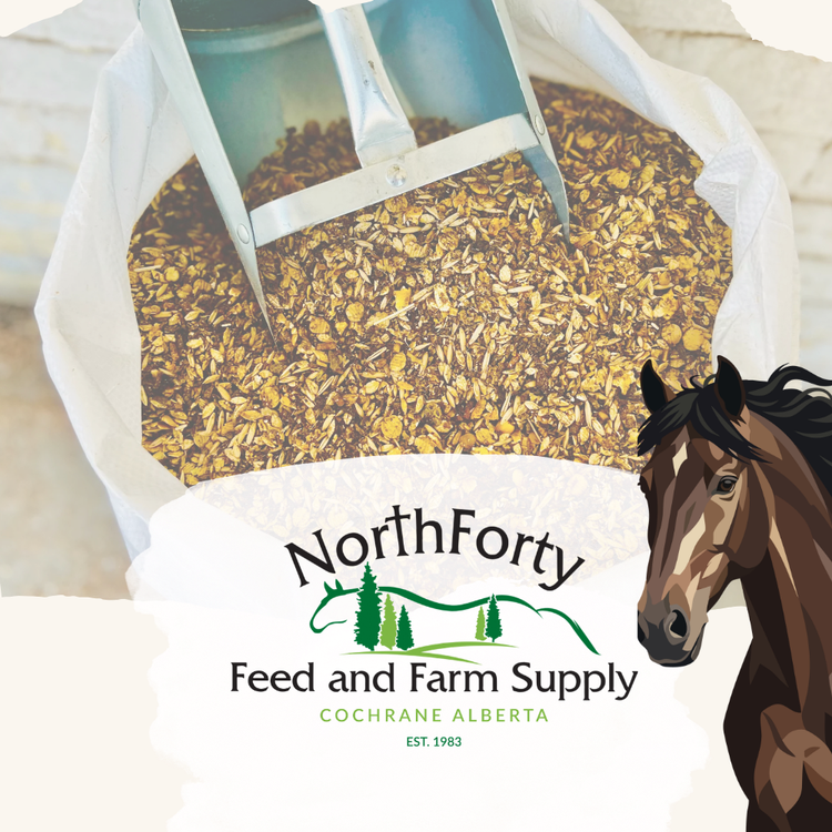 Horse Feed