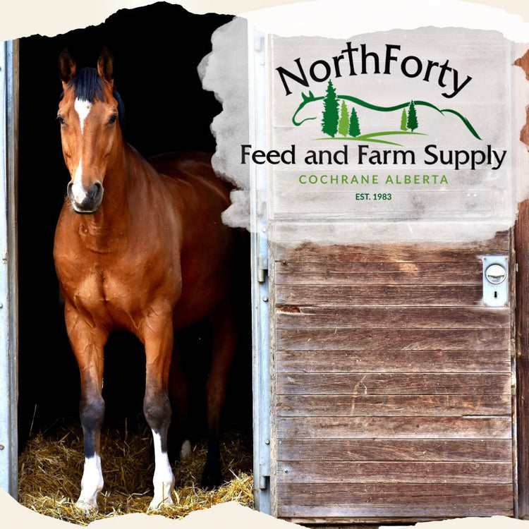 Stable Supplies