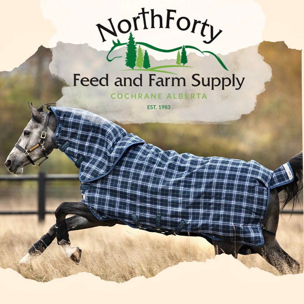 Equine Wear