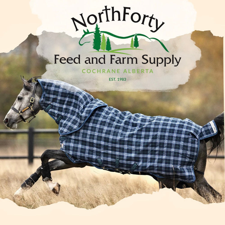 Equine Wear