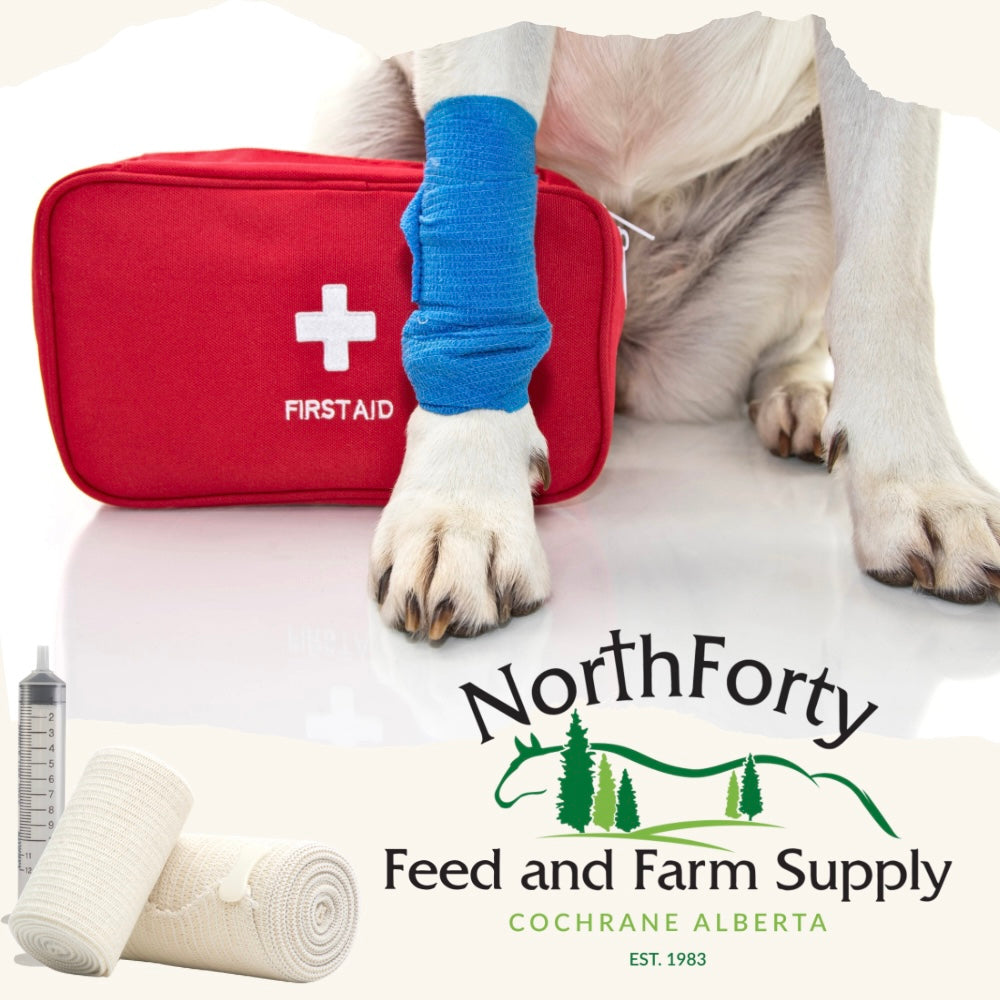 Animal Health