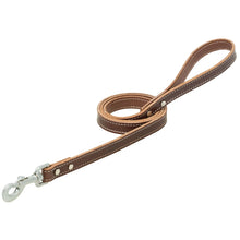 Bridle Leather Dog Leash, Brown, 3/4" x 6'
