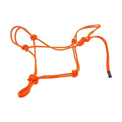 HiBrow Rope Halter Neon Orange