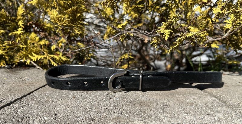 1" Leather Rig Strap
