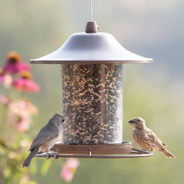 Hopper Feeder Panorama - 2.5lb