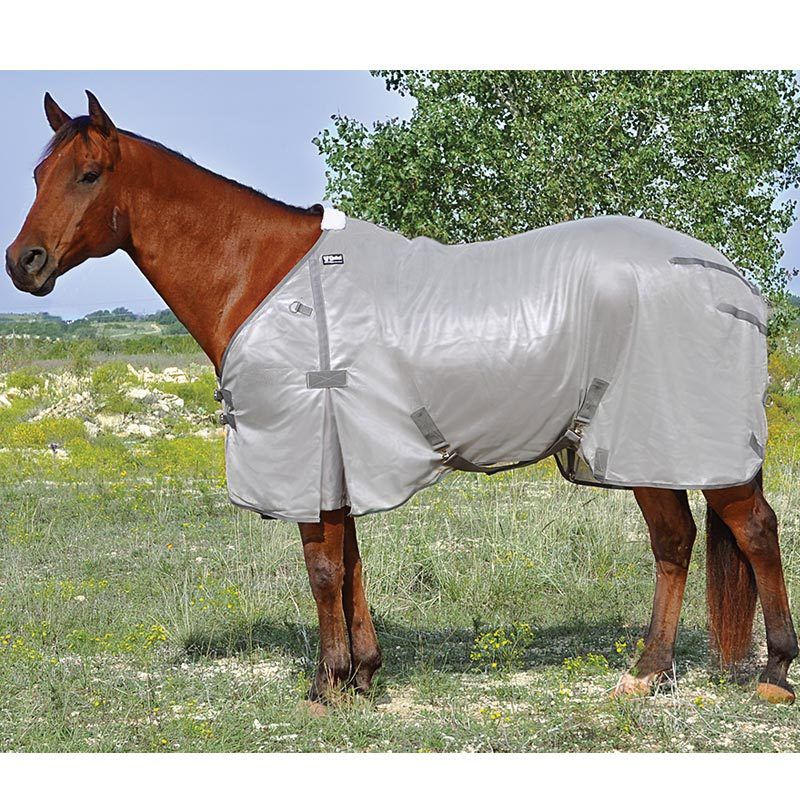Cashel Economy Fly Sheet