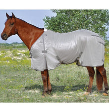 Cashel Economy Fly Sheet