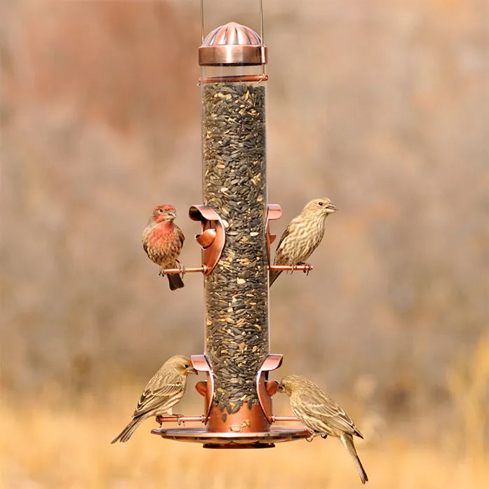 Perky Pet Copper 2-in-1 Tube Bird Feeder
