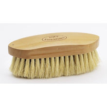 Wood Back Dandy Brush with Tampico Bristles