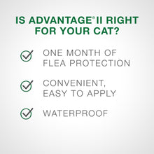 Advantage II Cats 4kg+ (6-Dose)