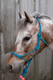 Burwash Marine line rope halter Foal Navy