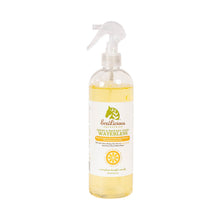 Ecolicious Squeaky Green & Clean WATERLESS, 472ml