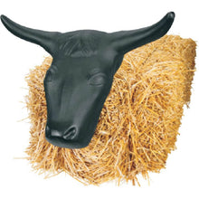 Large Roping Steer Head