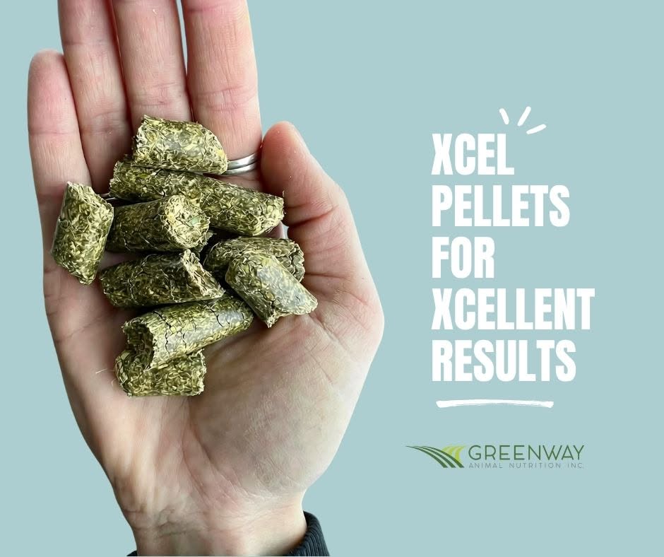 Greenway Alfalfa XCEL pellet