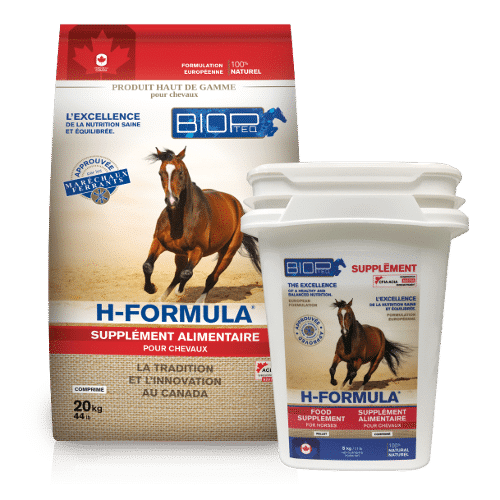 Biopteq H-Formula, 20kg