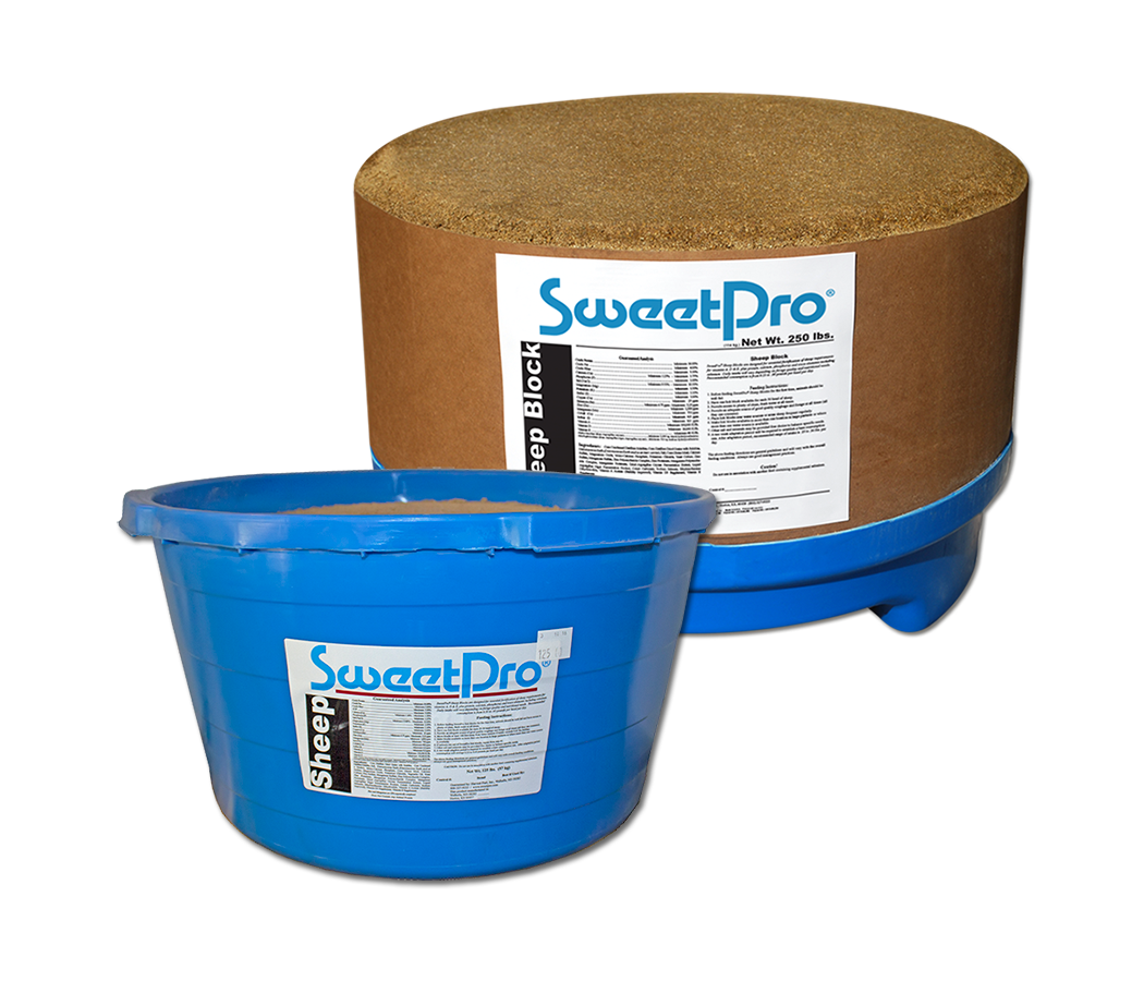 SweetPro Sheep Block