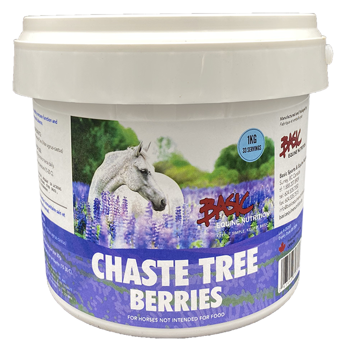 Basic Chaste Tree Berries 1kg