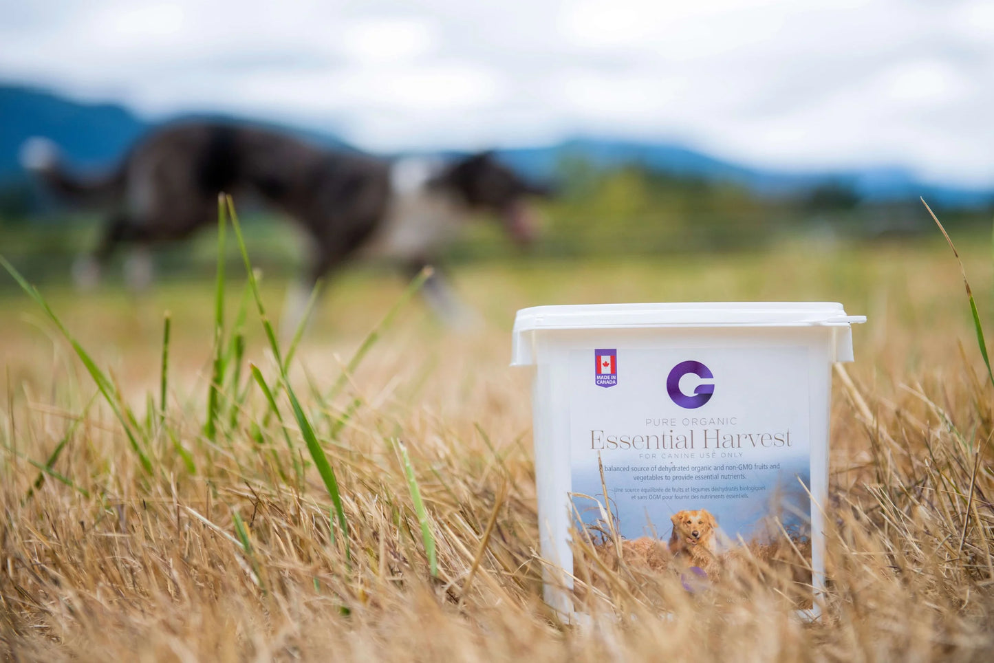 G's Essential Harvest