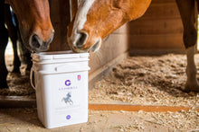 G's Formula for Horses