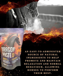 Dragon Paste calming supplement 4x30ml