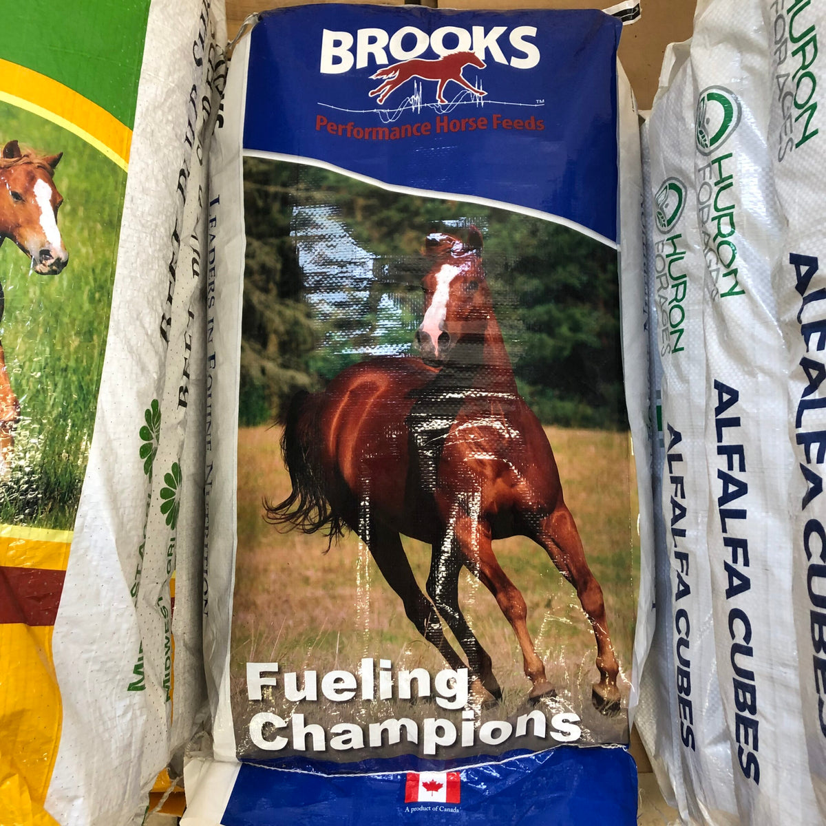 Brooks Senior Textured