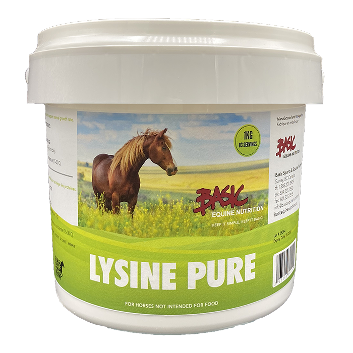 Basic Lysine